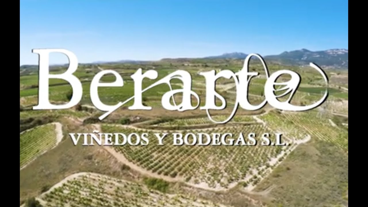 Berarte, Viñedos y Bodega, Villabuena de Alava. D.O.C. Rioja, SPAIN. VINEYARDS AND DRONE