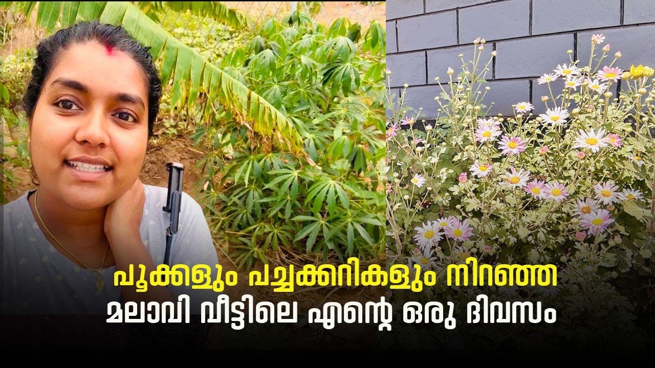 പൂക്കളും പച്ചക്കറികളും നിറഞ്ഞ ആഫ്രിക്കൻ വീട്ടിലെ ഒരു ദിവസം#dailyvlog #africa #youtube