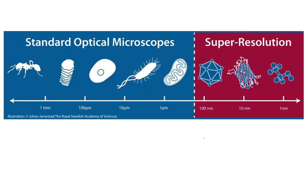 Week 5_Advanced Fluorescence Microscopy and Image Processing _ Partha Dey_23-02-2026