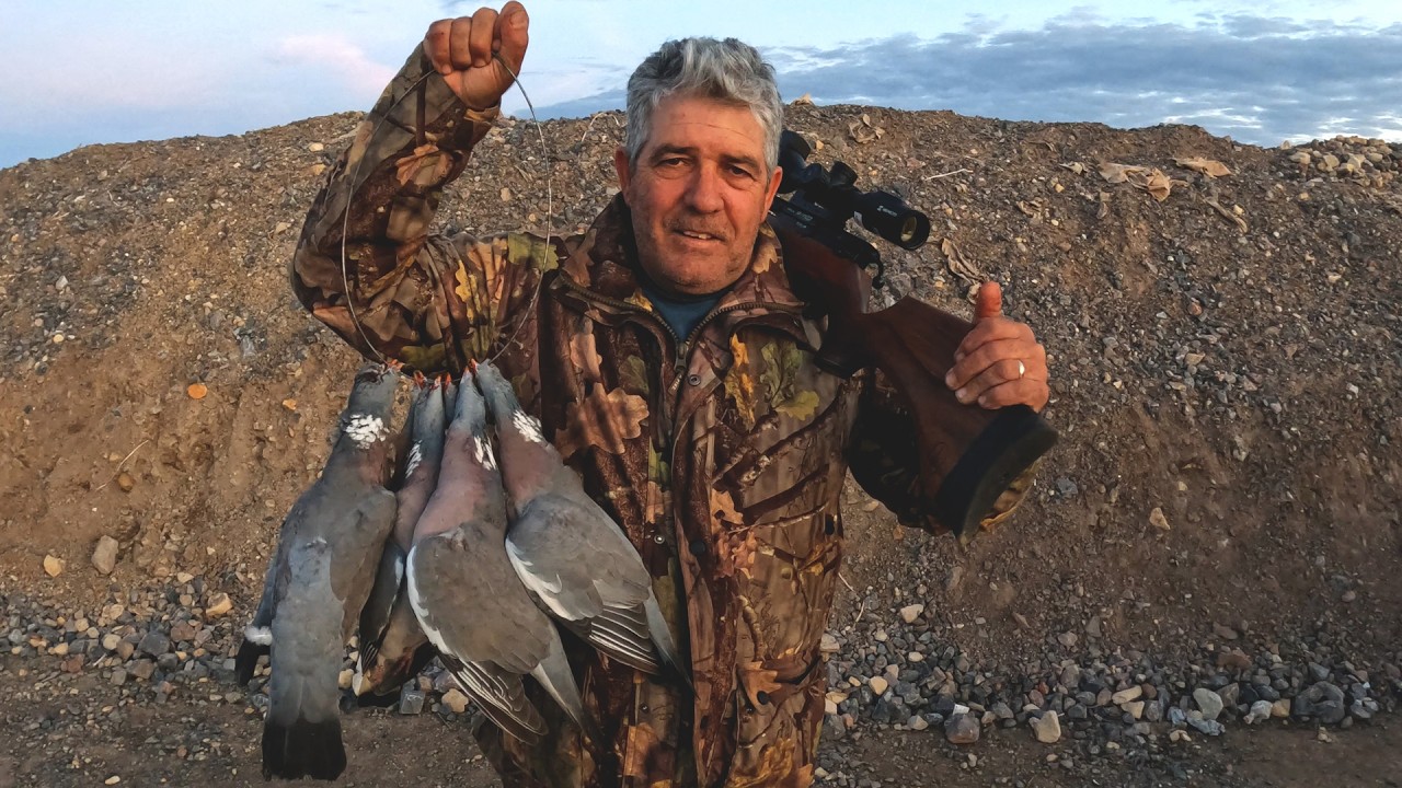 Very Windy Afternoon Shooting Pigeons With BSA Air Rifle 