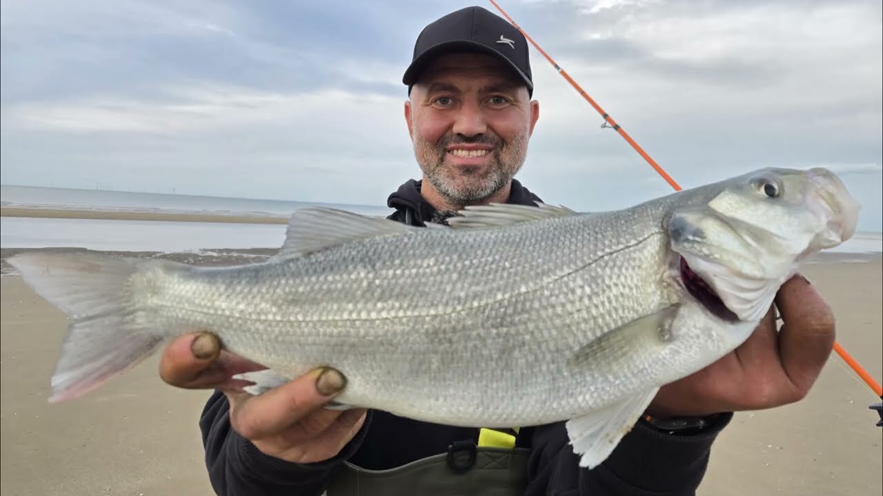 300 MILES LATER..! CHUNKY BASS AT PRESTATYN BEACH - NORTH WALES | SEA FISHING UK | HINTS & TIPS