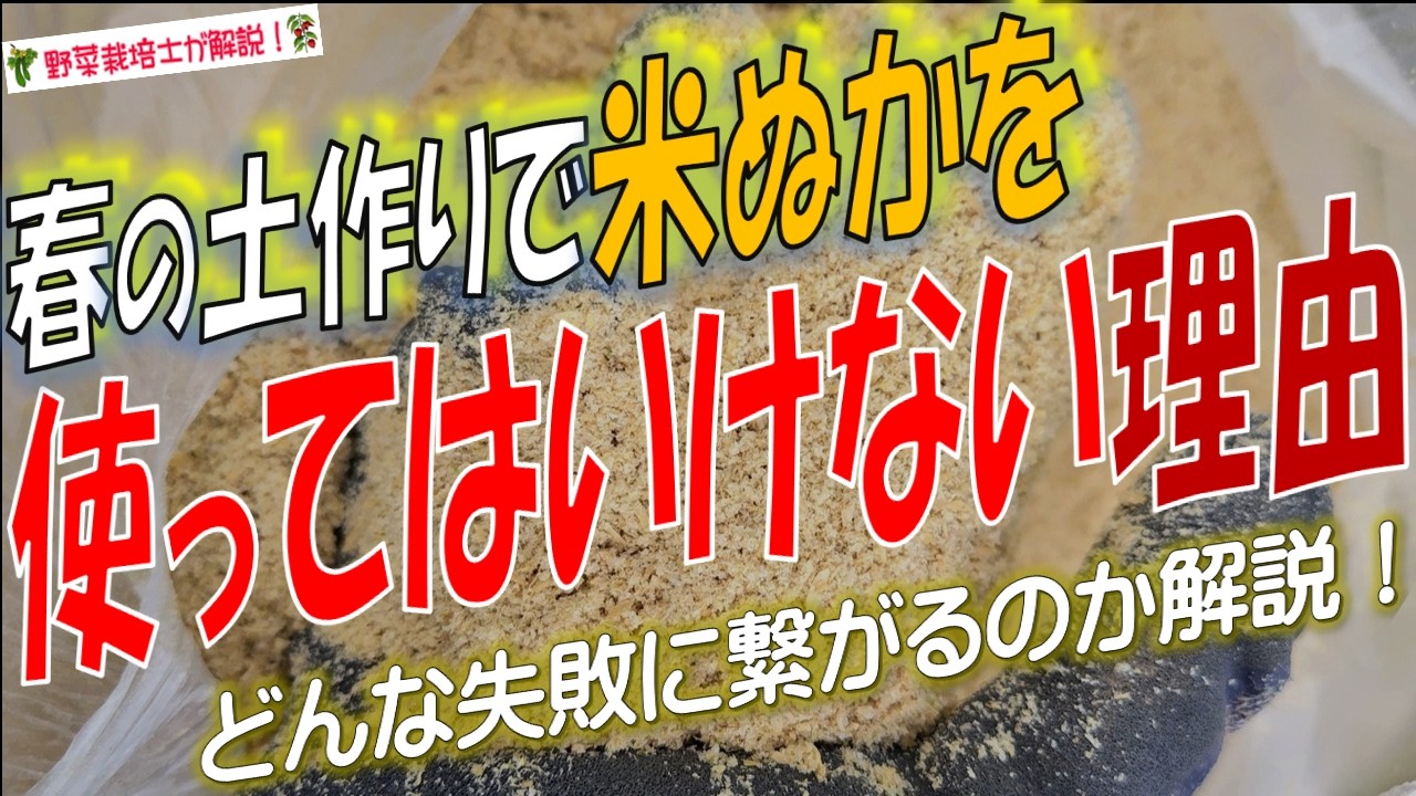 【要注意！】春野菜の土作りで米ぬかを使ってはいけない理由