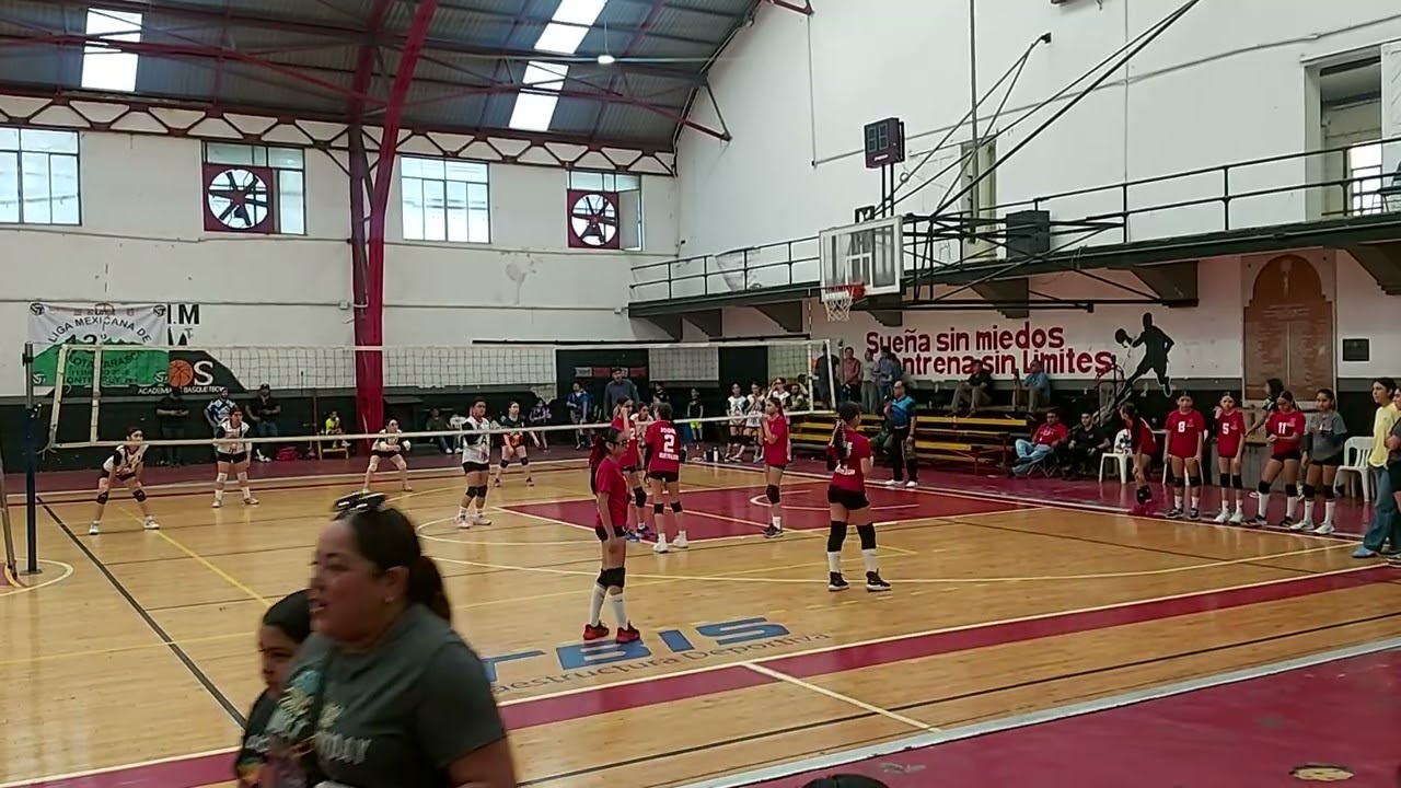 Escobedo & Regias Academy