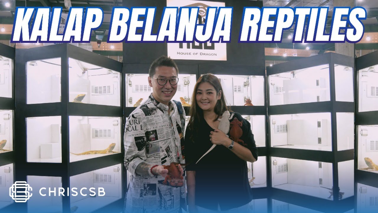 Kalap Belanja Reptiles Buat Nambah Koleksi: Chameleon, Bearded Dragon, Ball Phyton, Ular Boa Dll