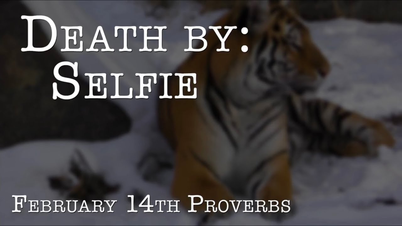 Death by Selfie | February 14, 2021