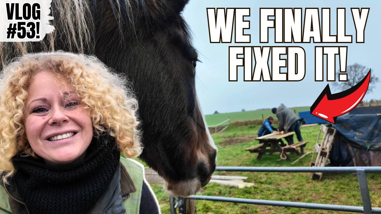 Horse Damage Repaired – Fence & Stable Panel Transformation 🔨 Vlog 53