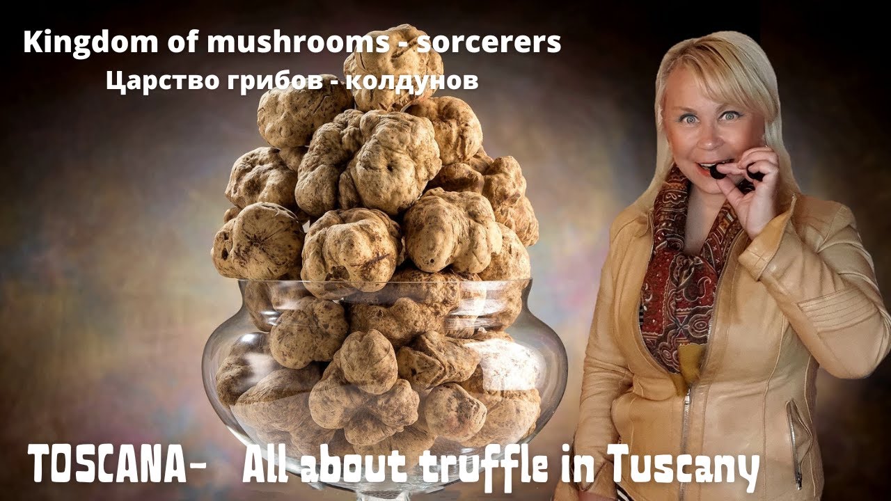 Truffle in Tuscany, history and secrets | Трюфель в Тоскане: история и секреты