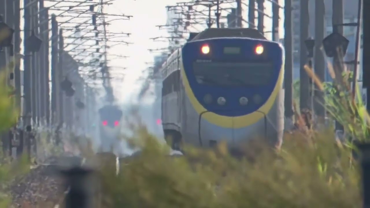 20260215-台鐵EMU800型列車#台鐵emu800型列車 #emu800型 #emu800