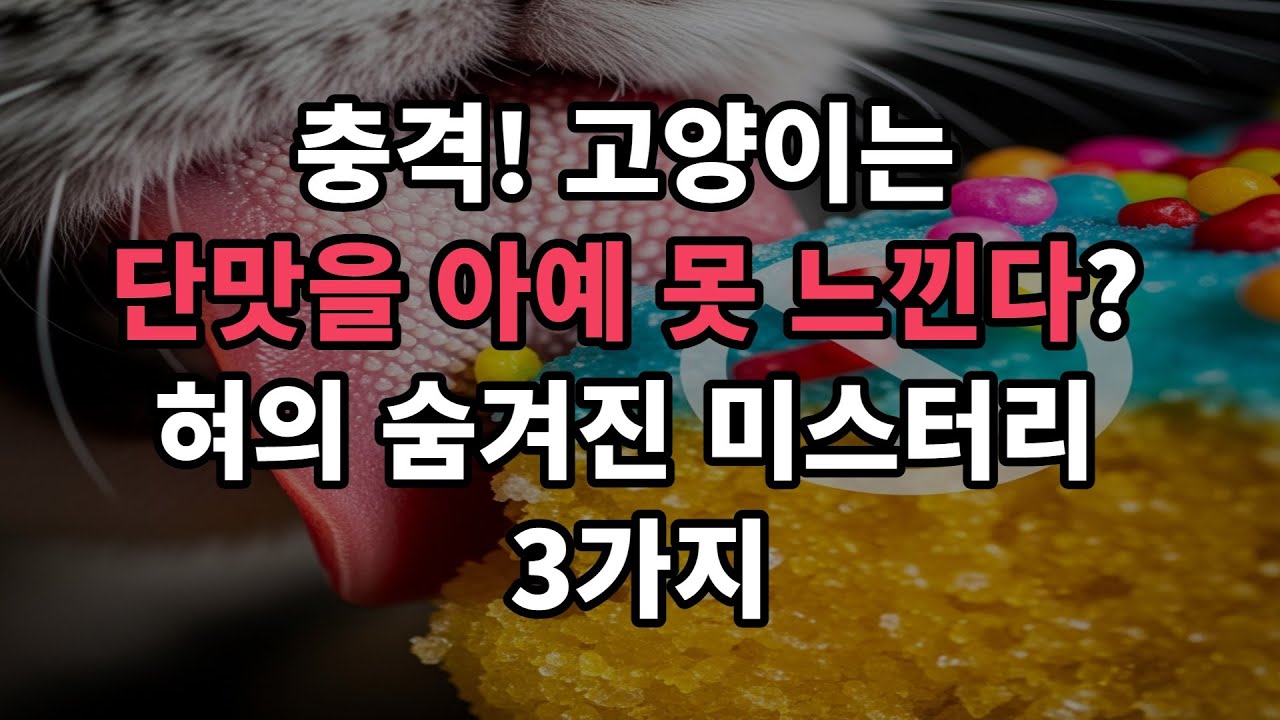 고양이는 단맛을 못느낀다