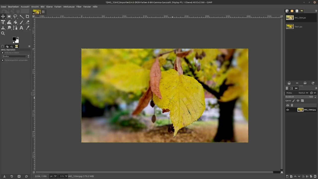 #Gimp Umschärfe erzeugen für Einsteiger