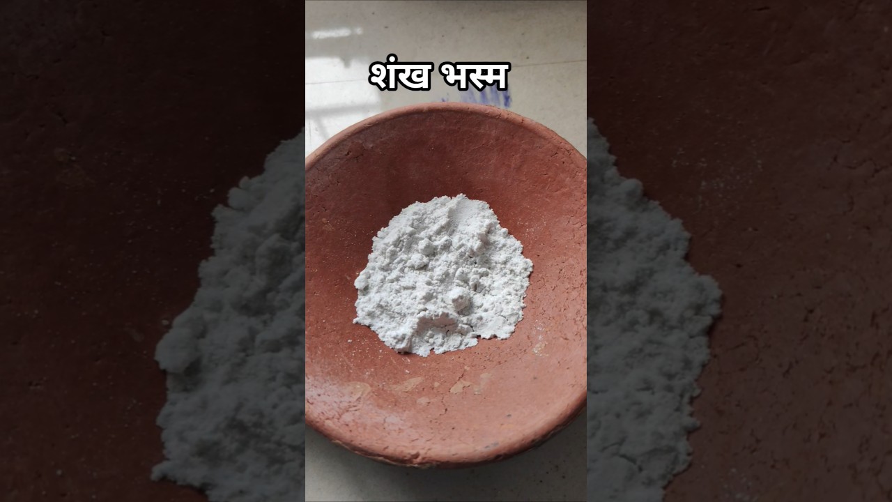 Shankha bhasma preparation #motivation #viralsong #bams_lecture #bams #om #newsong #omg #viralvideo