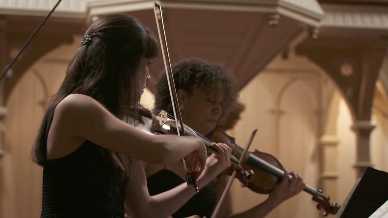 Johannes Brahms, String Quartet Op.51 No.1 - GoYa Quartet