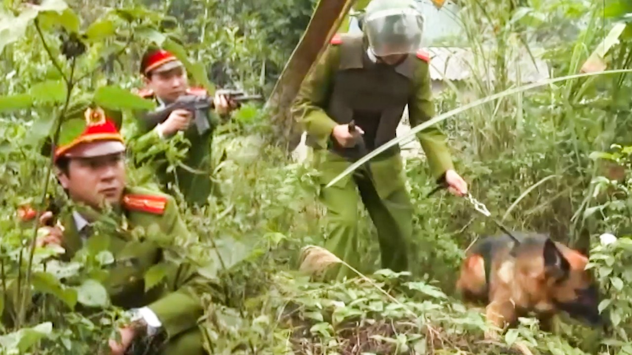 PHIM HAY 2026 | CH&Oacute; NGHIỆP VỤ ĐIỀU TRA CHUY&Ecirc;N &Aacute;N MẬT | PHIM VIỆT NAM HAY MỚI NHẤT | PHIM HTV