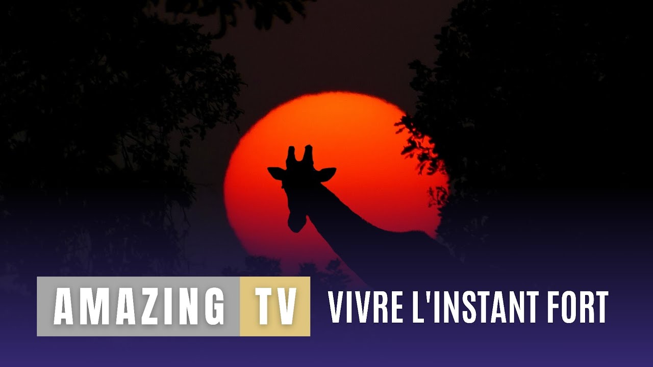 Amazing TV 
