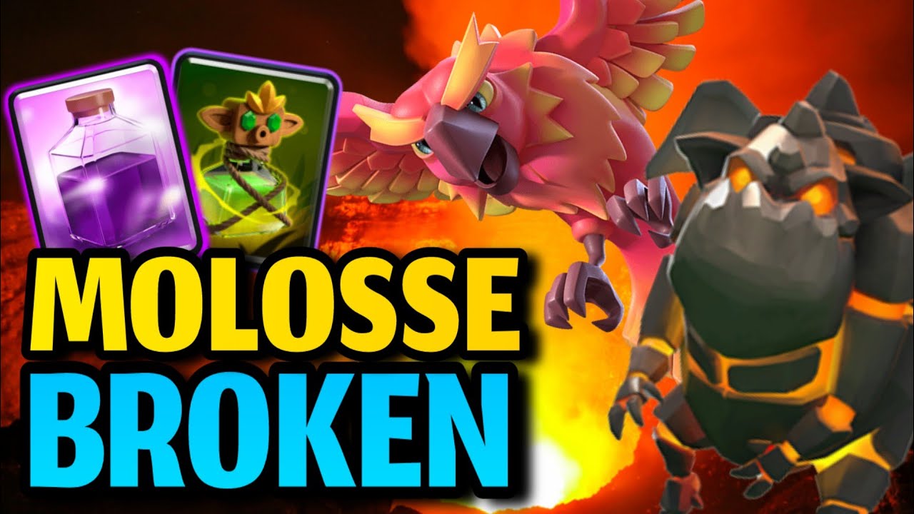 Le MEILLEUR DECK MOLOSSE ACTUELLEMENT ??