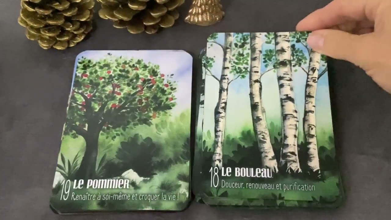 🌲S’ouvrir à l’énergie des arbres de Sylvie Moyroud - Review -
