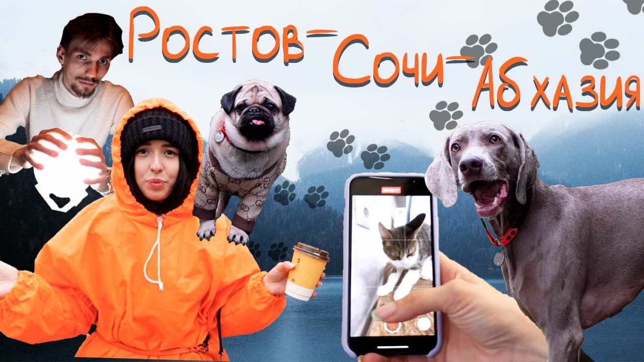 HOOOTDOGS VLOGS #1 - Рванули с собаками на машине в Сочи // Кошка Мята // Оказались в волшебном лесу