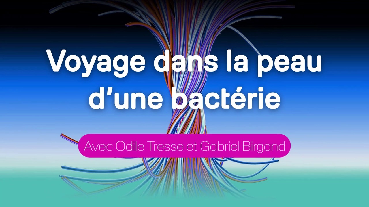Voyage dans la peau d’une bactérie - Odile Tresse et Gabriel Birgand