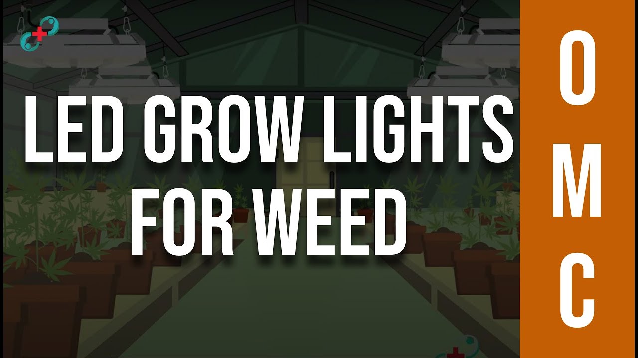 Best LED Grow Lights For Weed - Marijuana Grow Guide