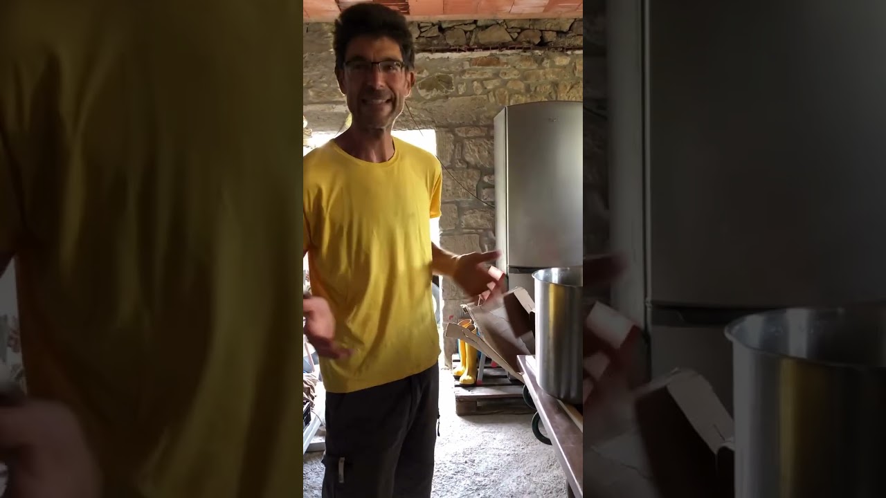 Tre batterie di aceto balsamico di storie di Mieli