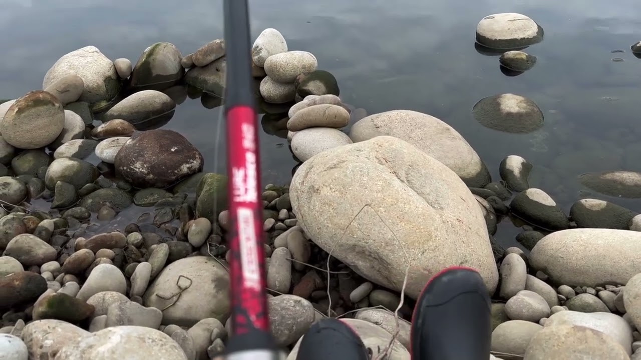 筏子溪釣魔鬼魚～台中市南屯河濱公園