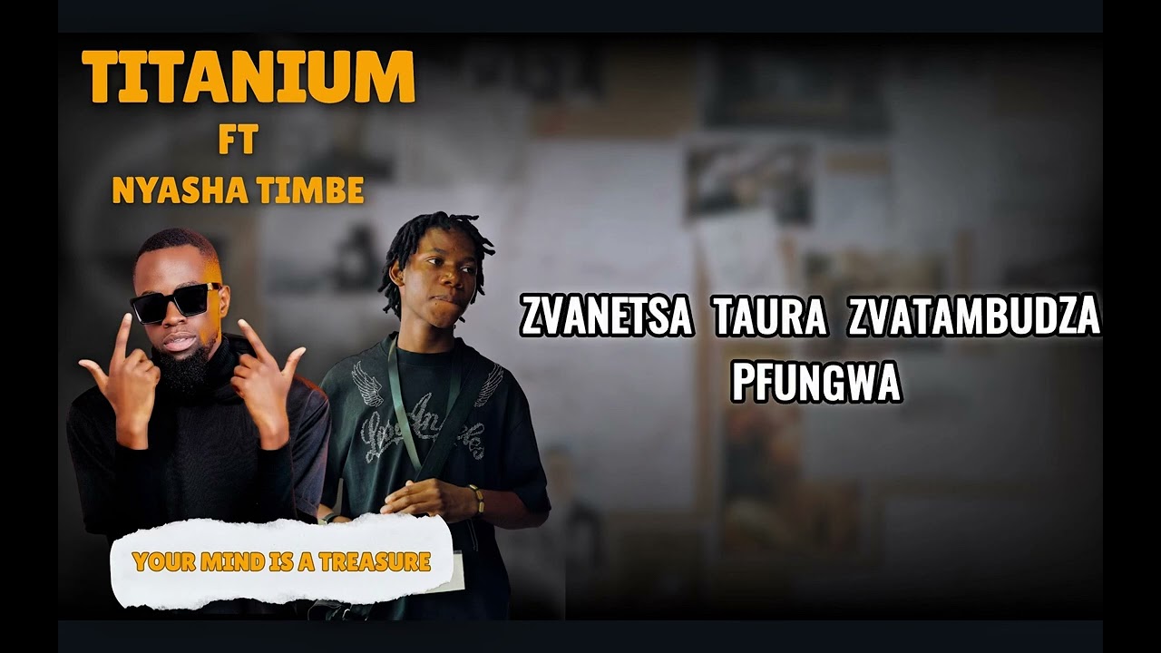 Titanium ft @NyashaTimbe  and @YouthAdvocatesZ _Your mind is a treasure