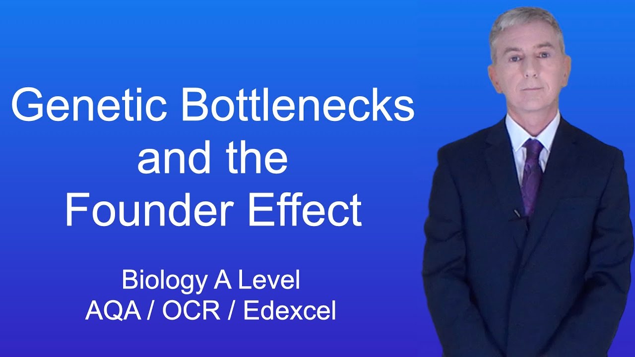 A Level Biology Revision (Year 13) 