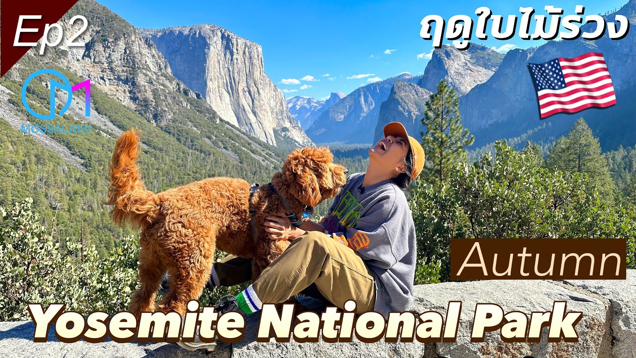 เที่ยวอุทยานโยเซมิติ ฤดูใบไม้ร่วง มรดกโลกของอเมริกา Ep2 #มอสลา | Fall in Yosemite National Park, CA