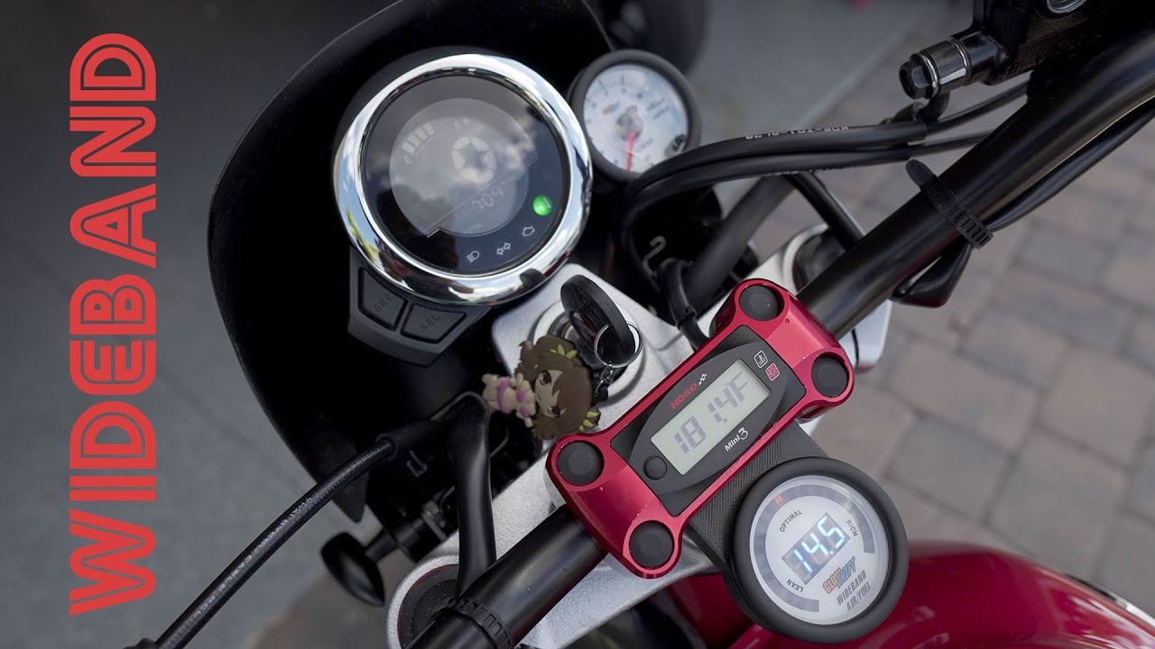 Wideband o2 Sensor and Gauge on the 2019 Honda Monkey