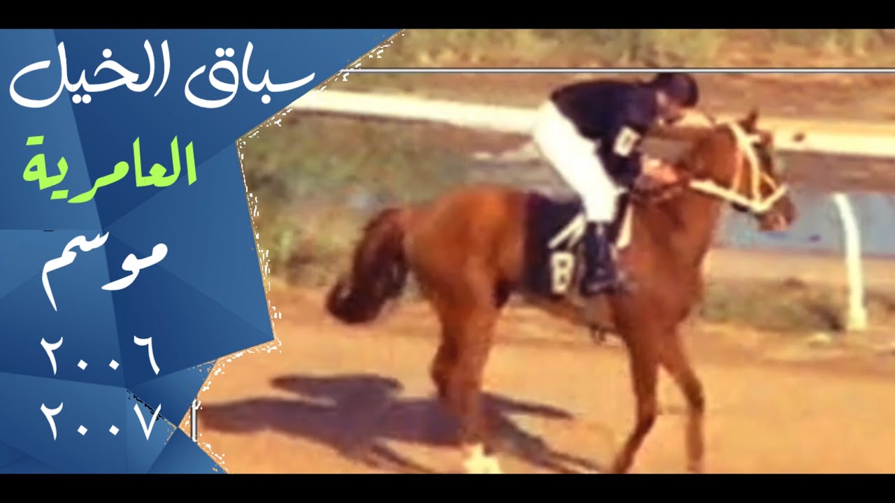 سباق الخيل العامرية | الفارس وليد رستم | موسم ٢٠٠٦ - ٢٠٠٧