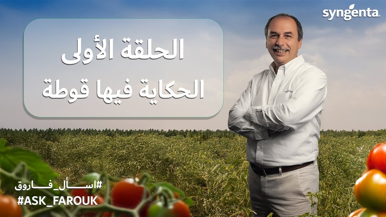 اسأل فاروق الحلقة الأولى - الحكاية فيها قوطة