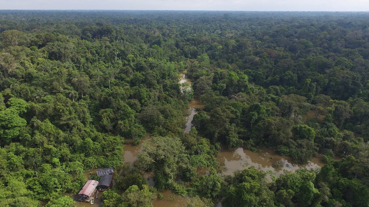 Yaguas: El gran laboratorio natural de la Amazon&iacute;a