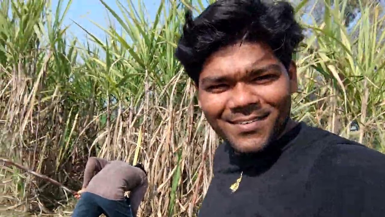 Thefting Sugarcane Part 2😀😀@Funny video 