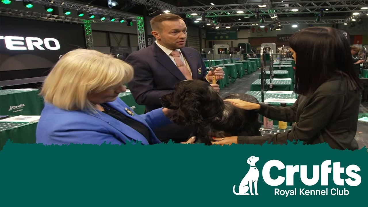 Клаудия Винклман узнала все секреты ухода за собаками на выставке Crufts! ✂️🐾 | Crufts 2026