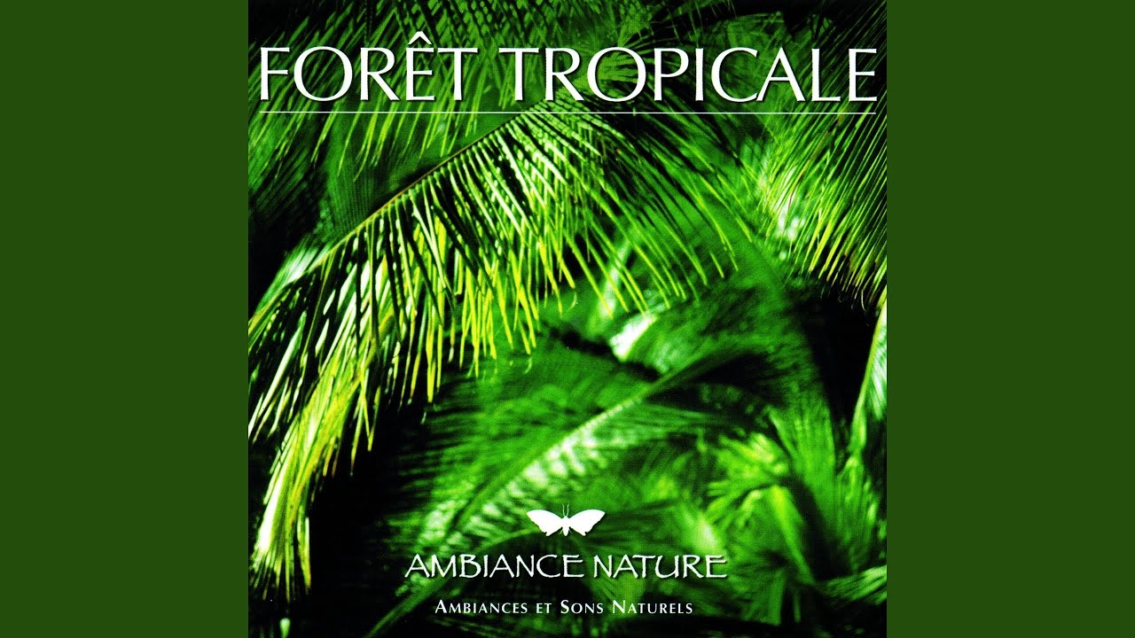 Ambiance Foret tropicale 2