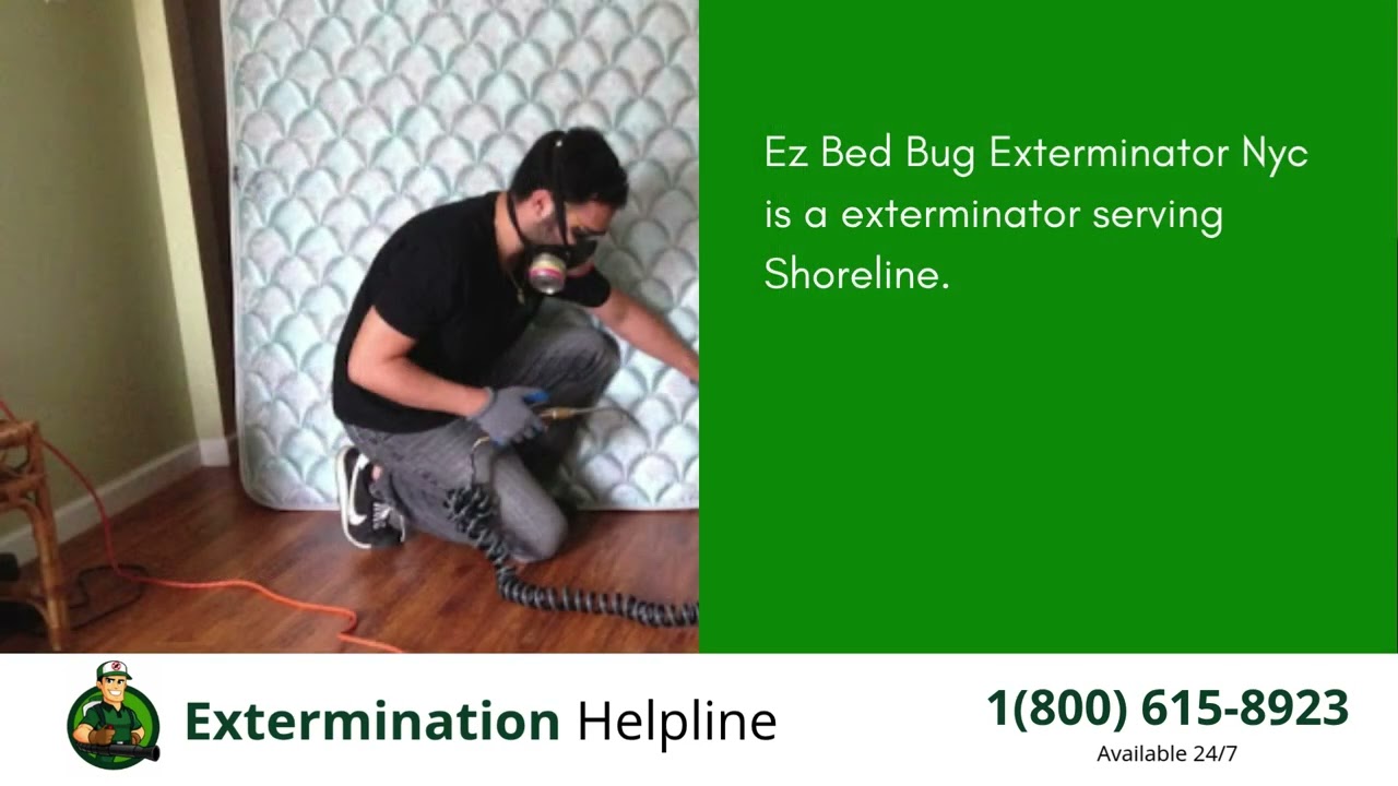 Top 3 Exterminators in Shoreline
