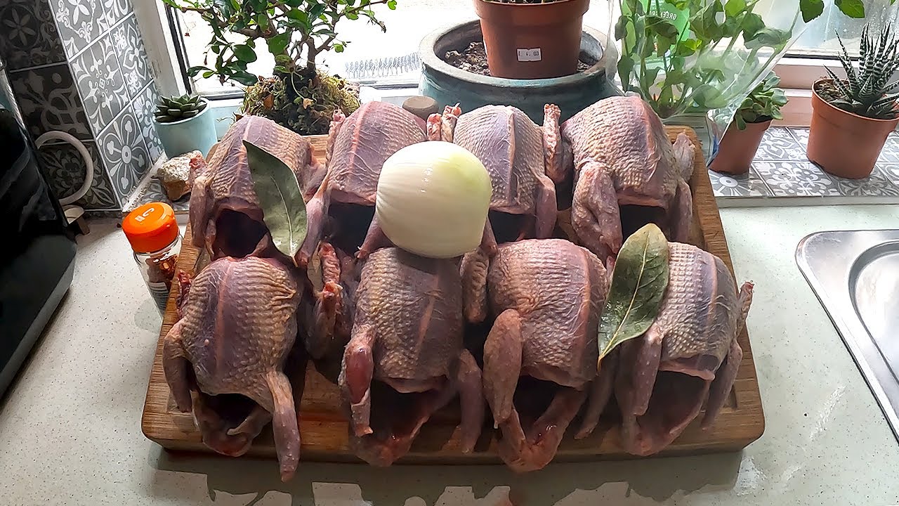 Cooking 8 BEAUTIFUL Pigeons DELICIOUS! #cooking #pigeons