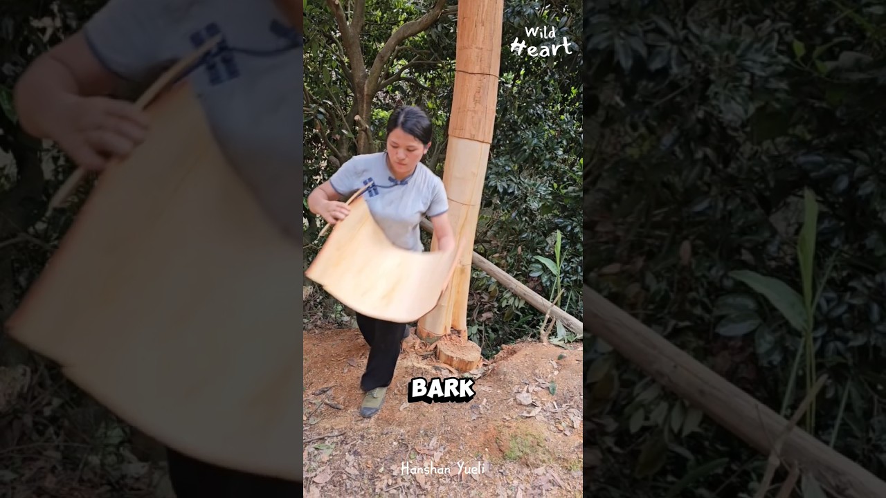 How Cinnamon is Harvested