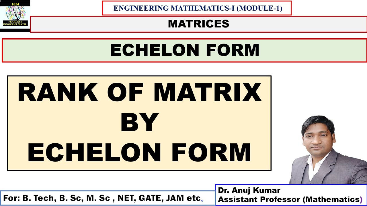 Rank of a Matrix by Echelon Form | Rank of Matrices | Rank by Echelon Form | Echelon Form and Rank
