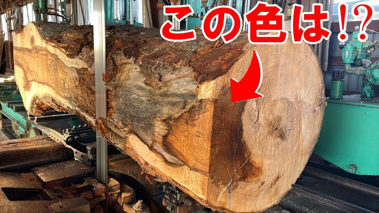 岩手県産トチ原木製材　白太の中に躍るように動く赤身　独特な色味を持つ赤身が印象的