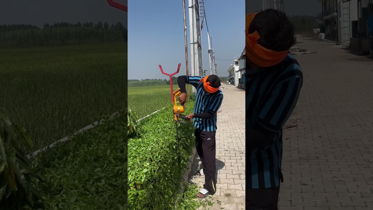 Narmi Hedge Cutting With Electric Hedgecutter machine #hedgecutting #cuttingskills #hedgetrimming