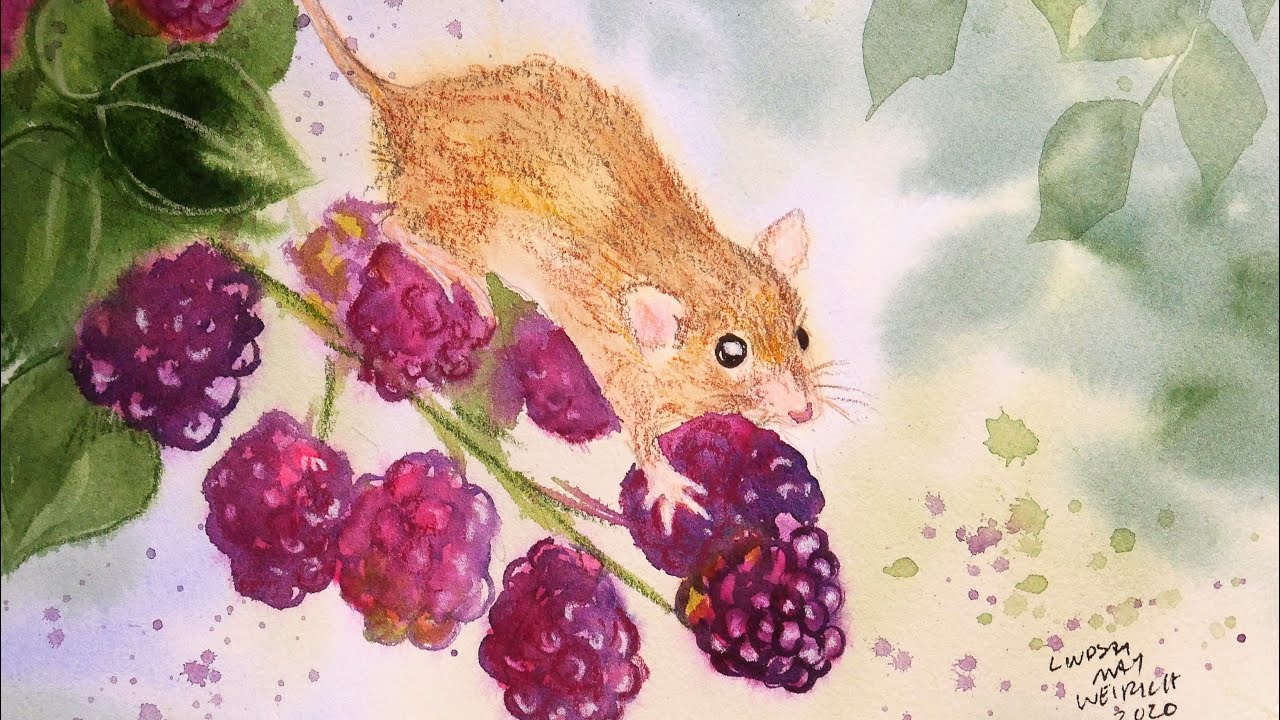 Mouse and Blackberries Watercolor & Colored Pencil tutorial