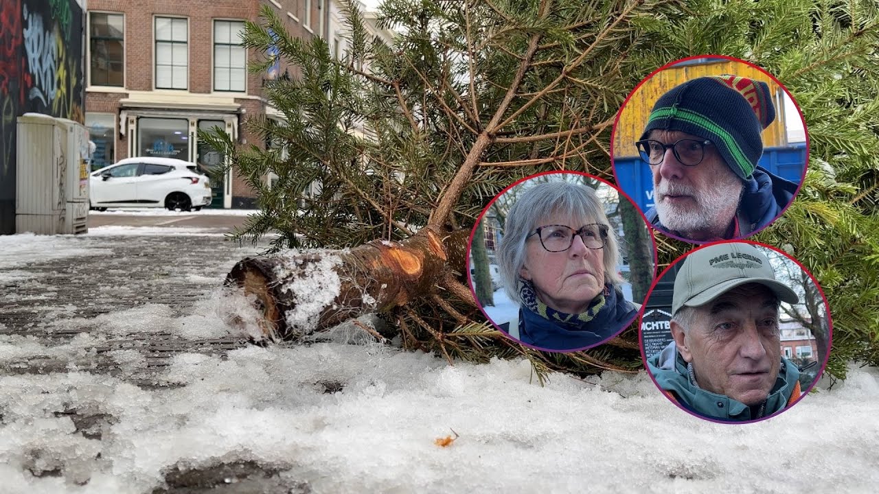 ‘Liever zwerfbomen dan zwerfvuil’: Gedumpte kerstbomen bij containers in Schiedam centrum
