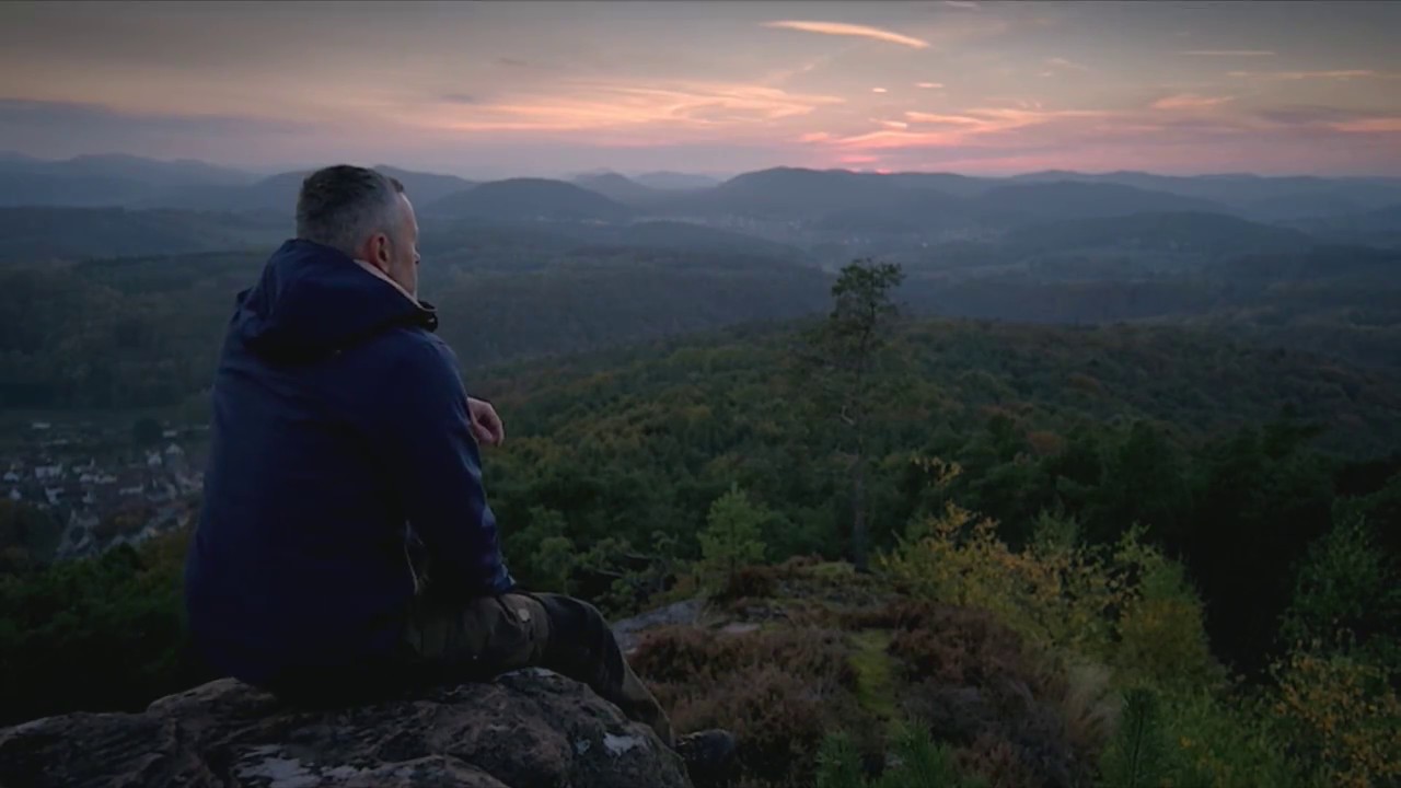 Der Pfälzerwald - magischer Naturpark