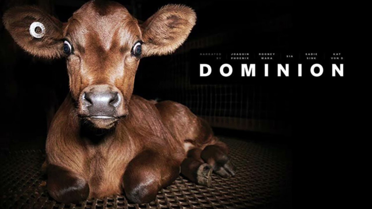 Dominion 2018 OST (Vegan documentary) - Conclusion