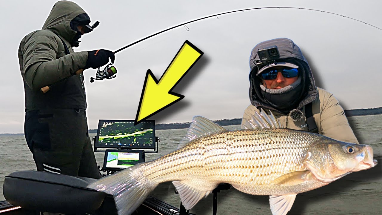 Multi-Species Madness in Big Wind & Waves!!