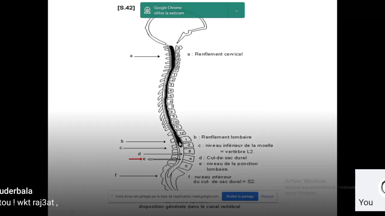 Sd topographiques. Partie 1. Dr kohil