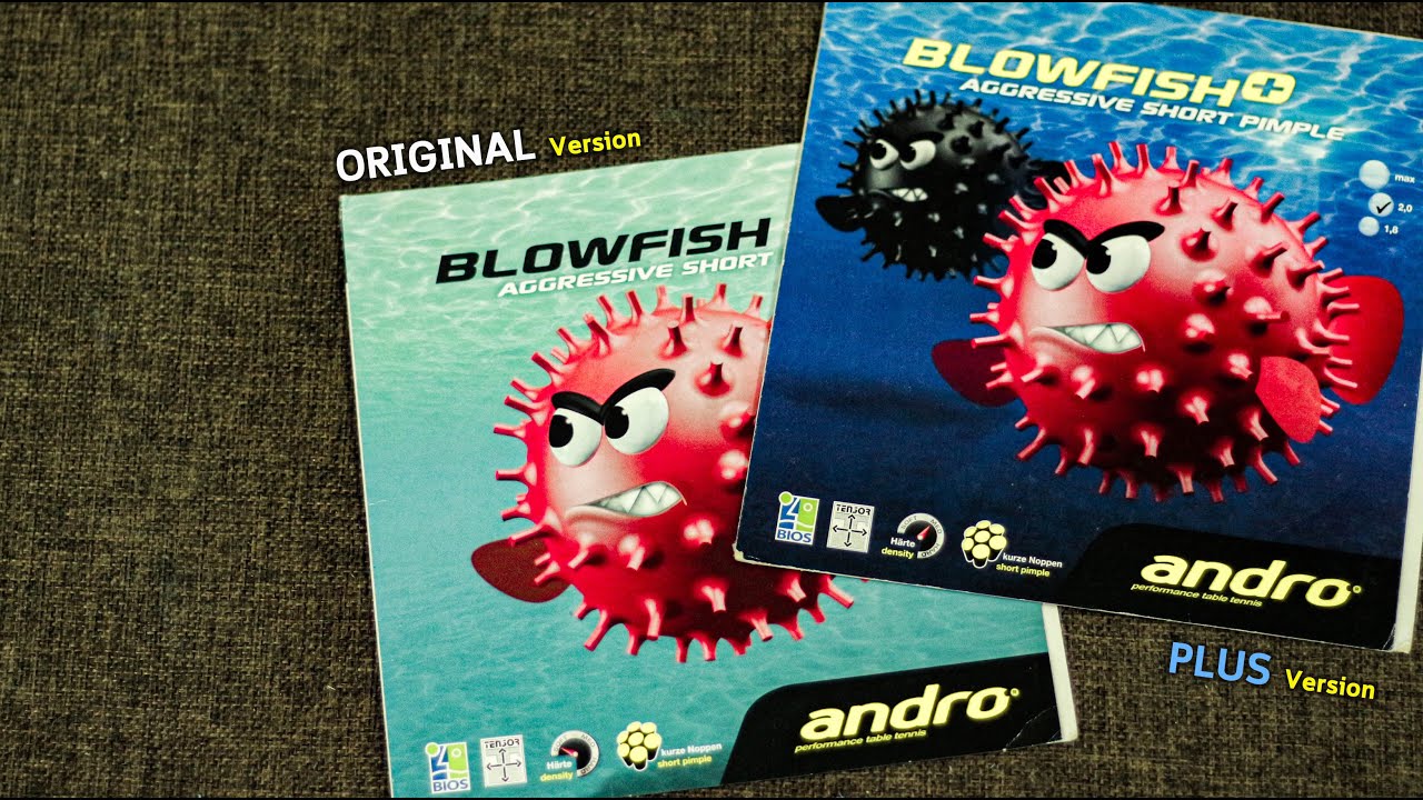 Test & Review Short Pips '' Andro Blowfish and Blowfish Plus ''
