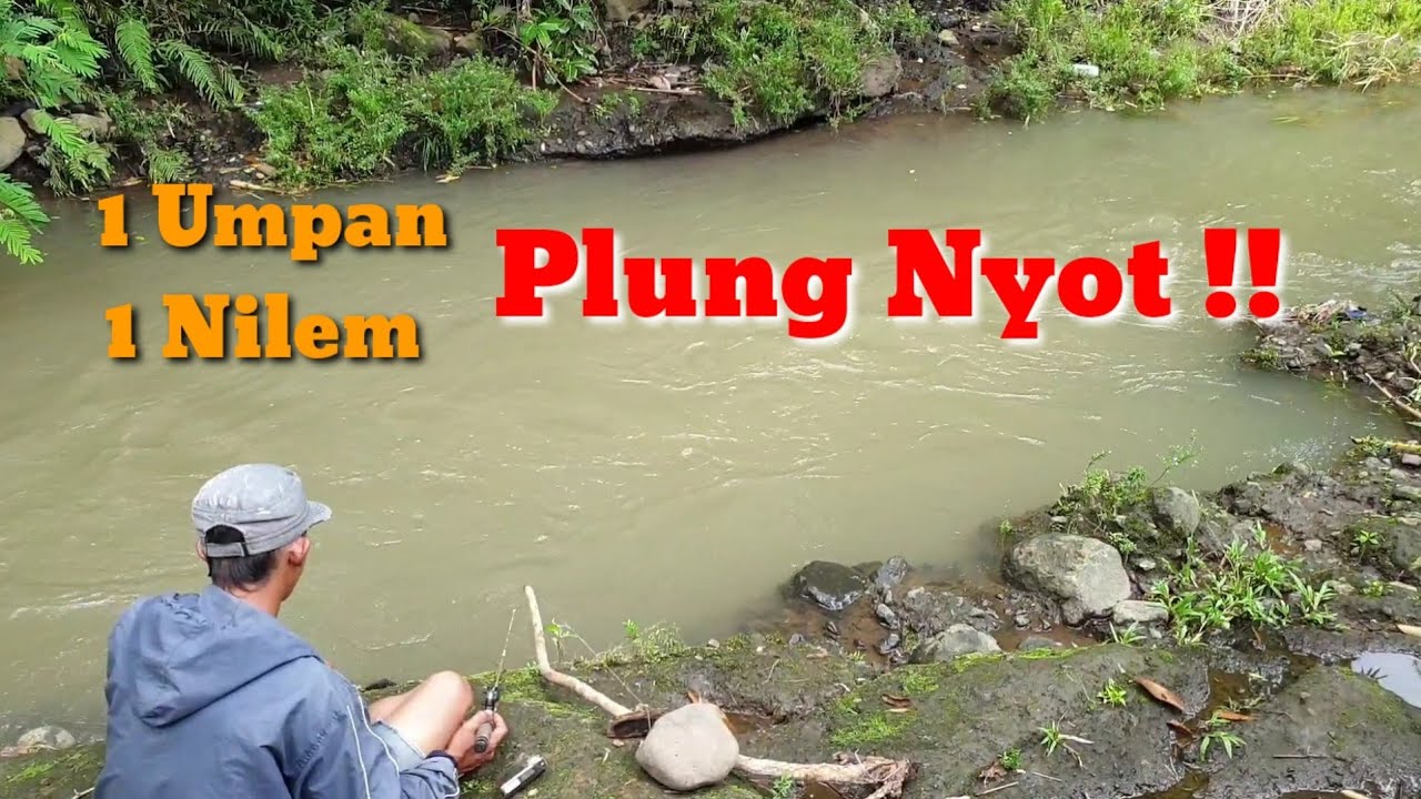Mancing Nilem Hitungan Detik Plung Nyot 