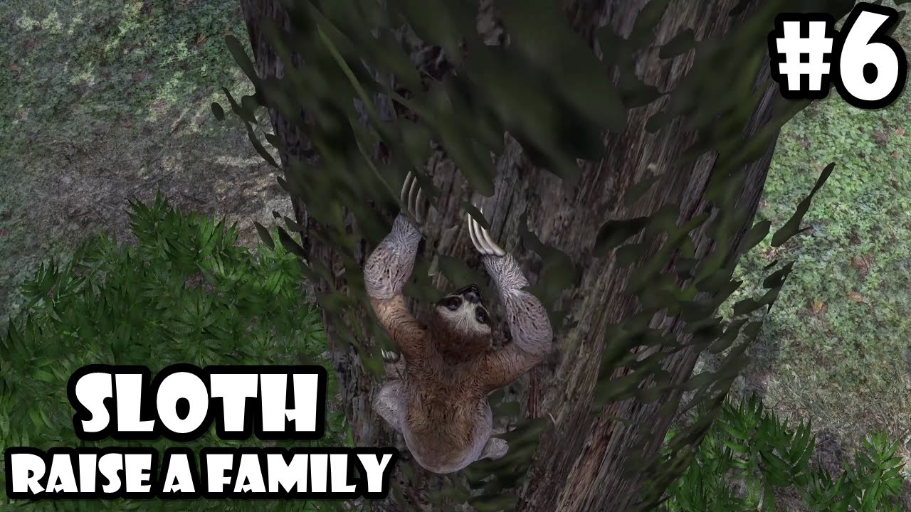 Ultimate Jungle Simulator - Sloth : Raise a Family  - Android/iOS - Gameplay Episode 6
